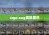 csgo aug皮肤展示