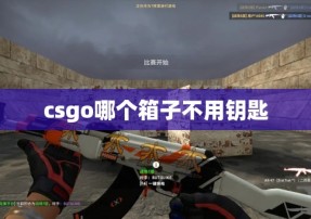 csgo哪个箱子不用钥匙