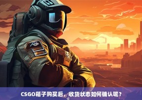 CSGO箱子购买后，收货状态如何确认呢？