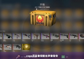 csgo开发者控制台声音指令