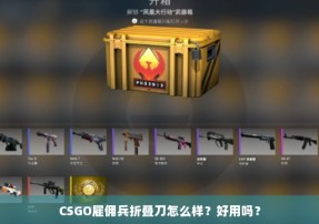 CSGO雇佣兵折叠刀怎么样？好用吗？