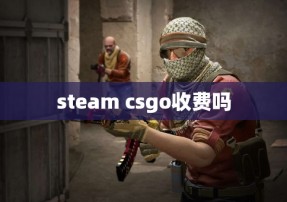 steam csgo收费吗