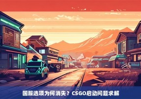 国服选项为何消失？CSGO启动问题求解