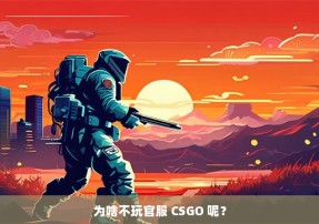 为啥不玩官服 CSGO 呢？