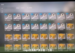 csgo优先账户多少钱一个月