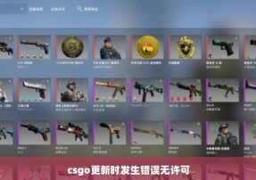 csgo更新时发生错误无许可