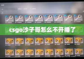 csgo沙子哥怎么不开播了