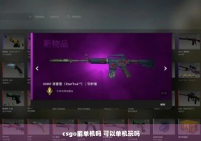 csgo能单机吗 可以单机玩吗