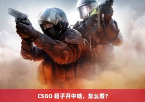 CSGO 箱子开中啥，怎么看？