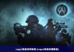 csgo2饰品如何检视 (csgo2饰品在哪里买)