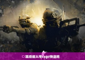 现在能入手csgo饰品吗