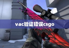 vac验证错误csgo