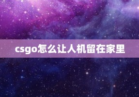 csgo怎么让人机留在家里