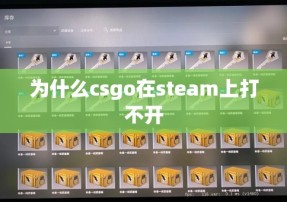 为什么csgo在steam上打不开