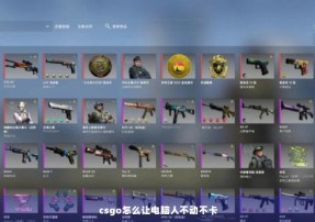 csgo怎么让电脑人不动不卡