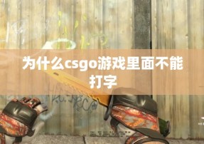 为什么csgo游戏里面不能打字