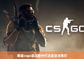 甩狙csgo是过程中打还是定点再打