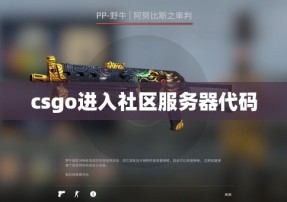 csgo进入社区服务器代码