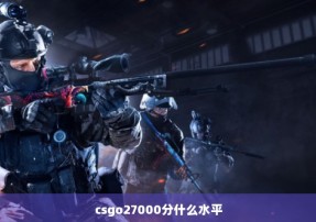 csgo27000分什么水平