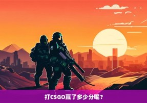 打CSGO赢了多少分呢？