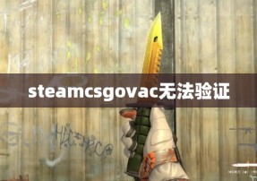 steamcsgovac无法验证