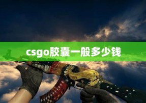 csgo胶囊一般多少钱