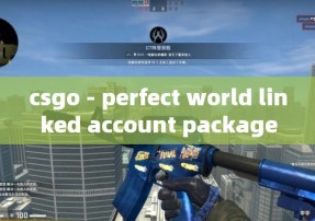 csgo - perfect world linked account package