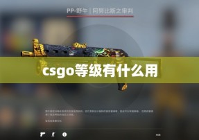 csgo等级有什么用