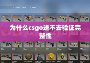 为什么csgo进不去验证完整性