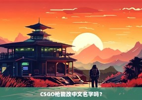 CSGO枪能改中文名字吗？