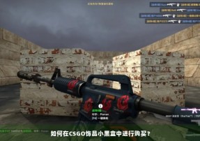 如何在CSGO饰品小黑盒中进行购买？