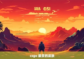 csgo 最贵的皮肤