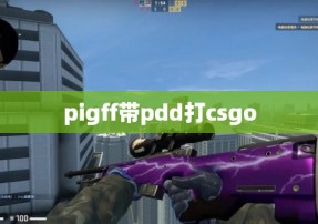 pigff带pdd打csgo