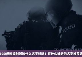 CSGO燃料喷射器改什么名字好听？有什么好听的名字推荐吗？