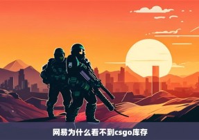 网易为什么看不到csgo库存