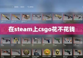 在steam上csgo花不花钱