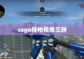 csgo持枪视角三胖