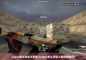 csgo2怎么自定义皮肤 (csgo2怎么开私人房和朋友打)