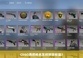 CSGO两把枪名怎样移除标签？