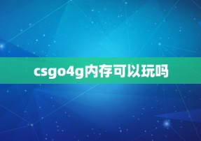 csgo4g内存可以玩吗