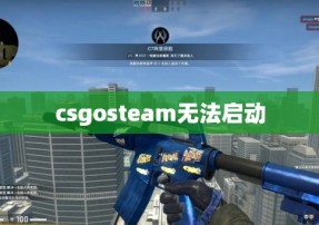 csgosteam无法启动