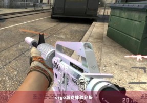 csgo游戏体验分析