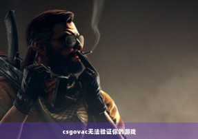 csgovac无法验证你的游戏