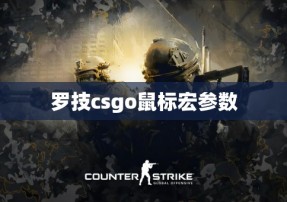 罗技csgo鼠标宏参数