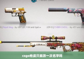 csgo枪皮只能改一次名字吗