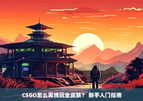 CSGO怎么离线玩全皮肤？ 新手入门指南