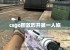 csgo回放咋开第一人称