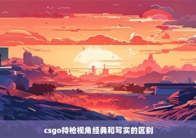 csgo持枪视角经典和写实的区别