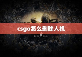 csgo怎么删除人机