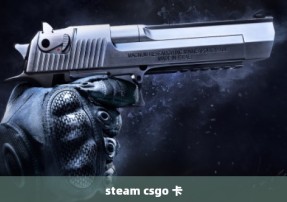steam csgo 卡